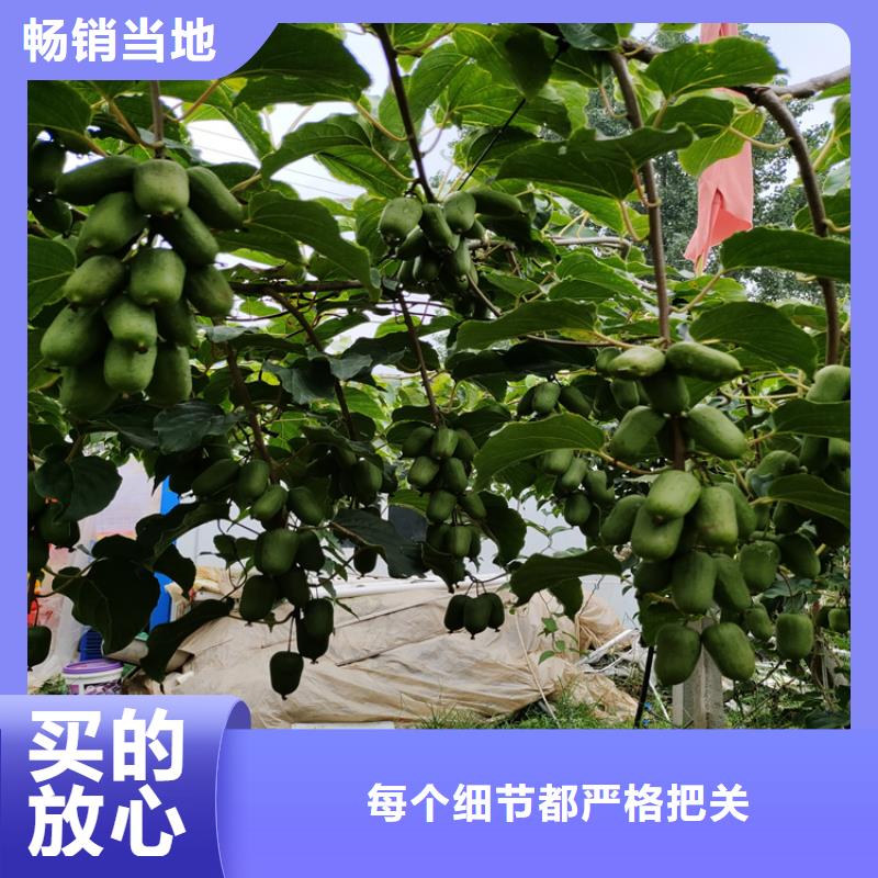 猕猴桃樱桃苗对质量负责