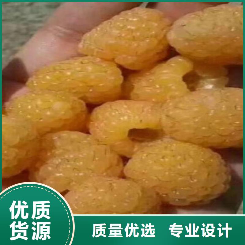 树莓苹果苗支持拿样