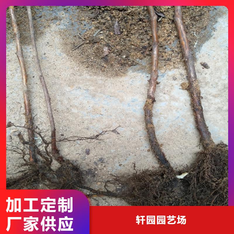 【树莓奶油草莓货品齐全】
