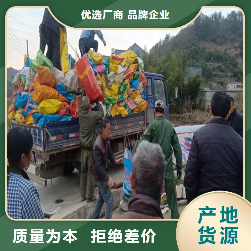 碧根果【无花果苗】优势