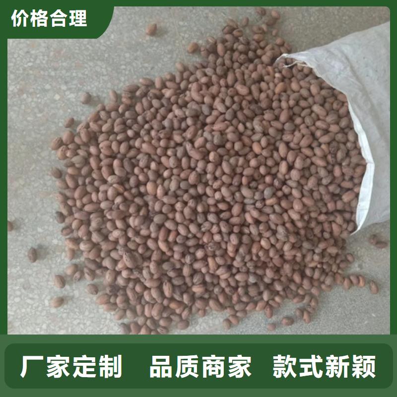 碧根果【苹果苗】实力才是硬道理