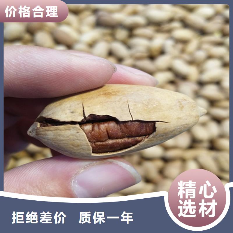 碧根果苹果苗品质商家