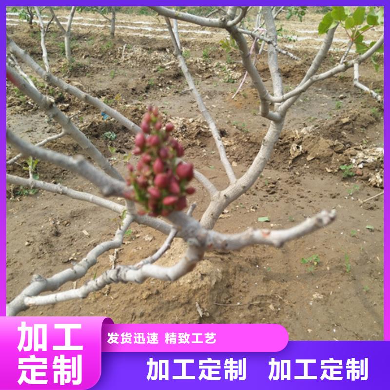 开心果草莓苗用心制作