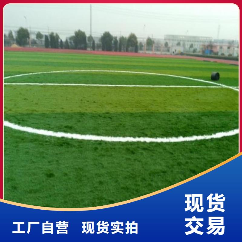 【人造草坪】_高密度跑道匠心制造