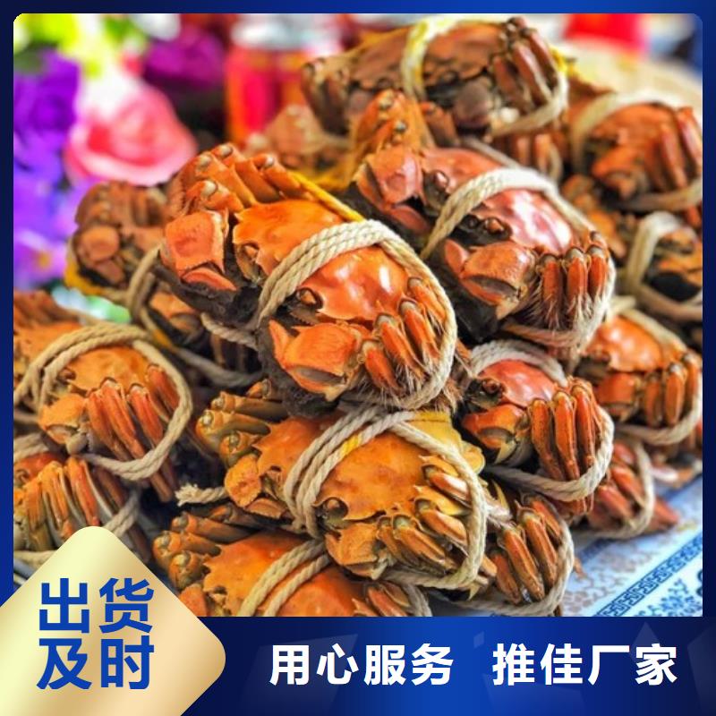 阳澄湖大闸蟹哪里买苏州莲花岛