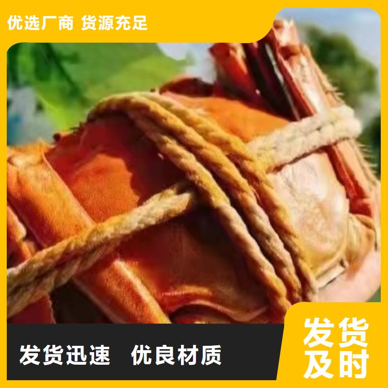 苏州阳澄湖农家乐那家实惠好吃