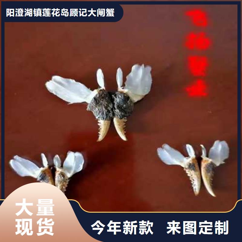 苏州阳澄湖买大闸蟹哪家好阳澄湖吃大闸蟹农家乐比较正宗