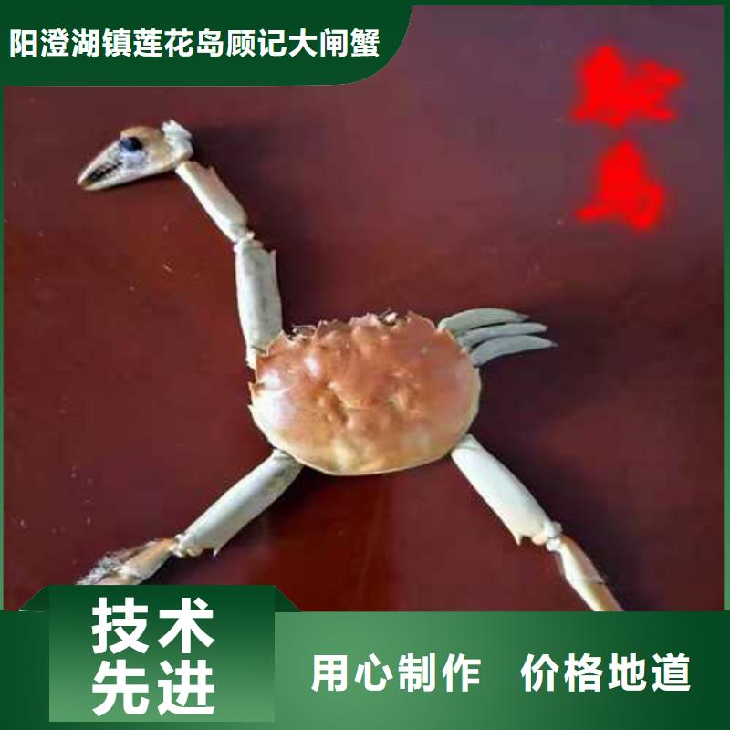 阳澄湖大闸蟹哪里正宗好吃苏州莲花岛顾记蟹庄