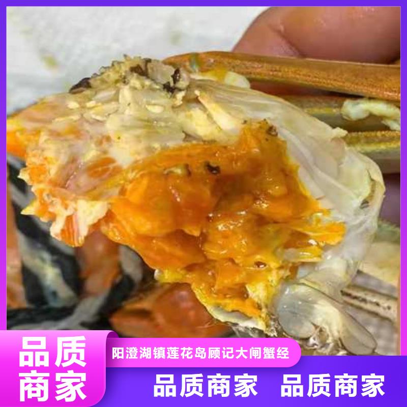 去阳澄湖买大闸蟹哪里好在苏州莲花岛