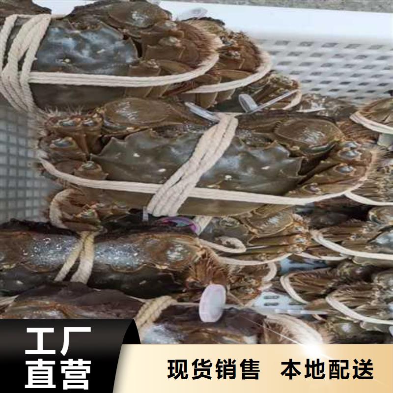 莲花岛阳澄湖大闸蟹哪里正宗