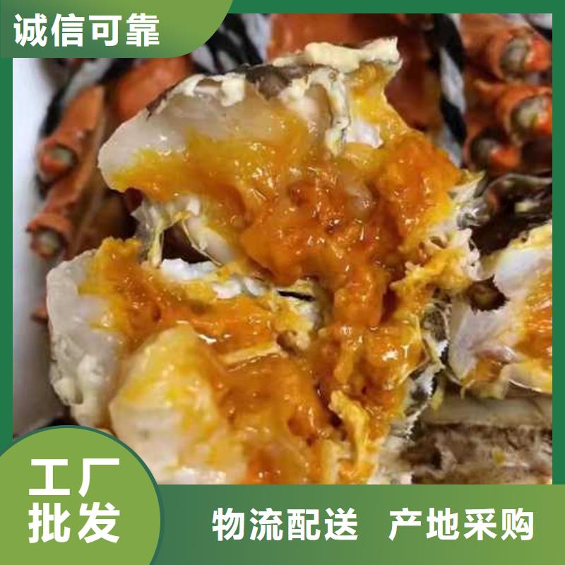 莲花岛阳澄湖大闸蟹哪里好