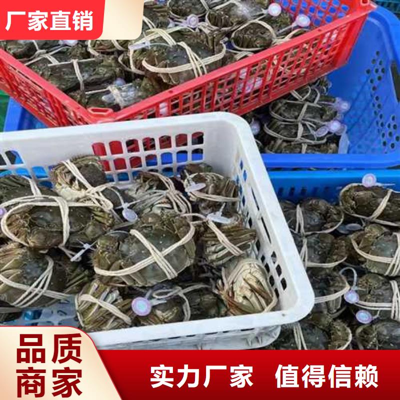 苏州阳澄湖大闸蟹哪家好