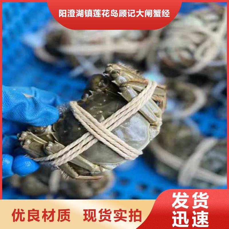 江苏阳澄湖大闸蟹哪家正宗
