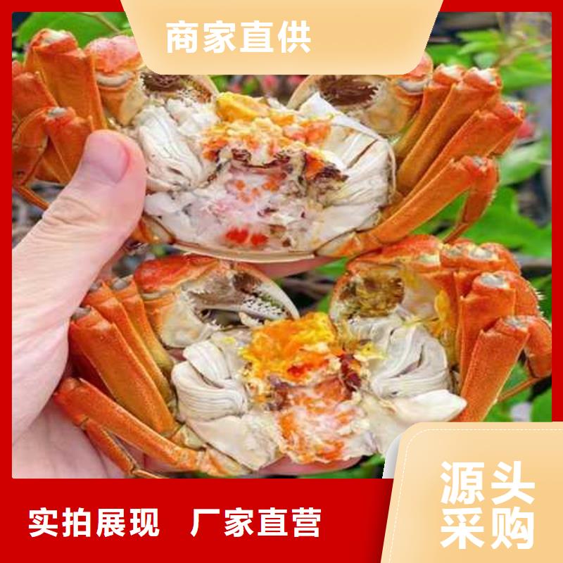 莲花岛阳澄湖大闸蟹哪里好