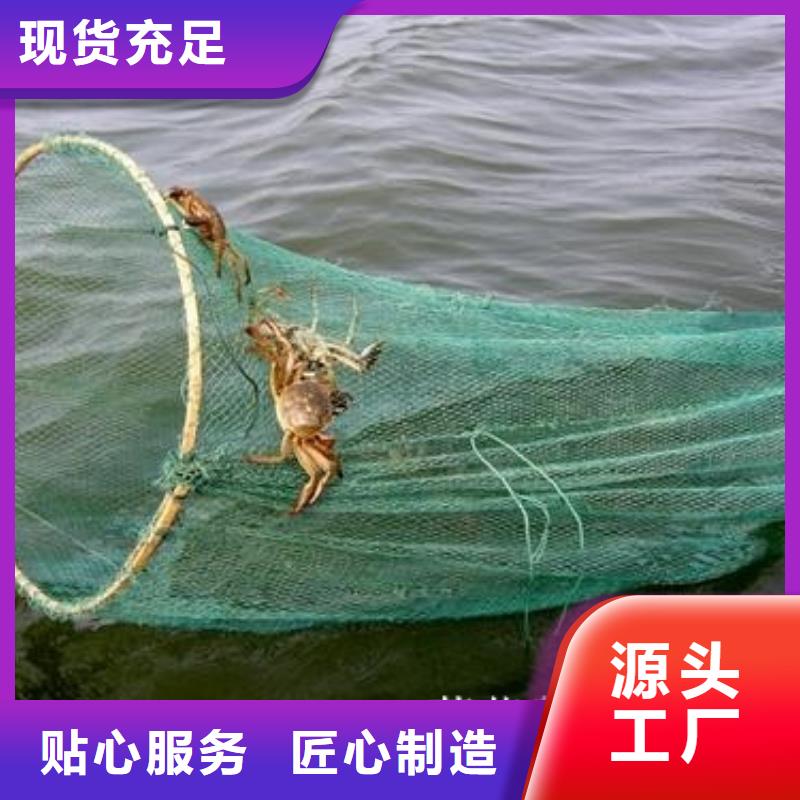 苏州阳澄湖大闸蟹哪里好吃