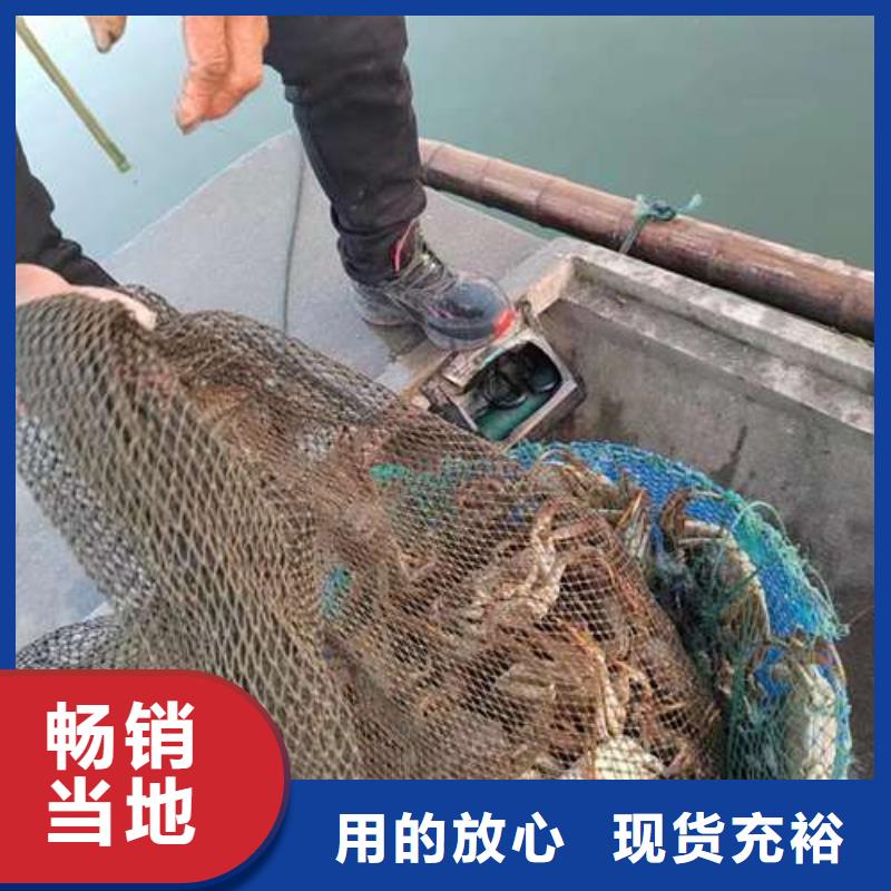 蟹阳澄湖大闸蟹到哪里买客户好评