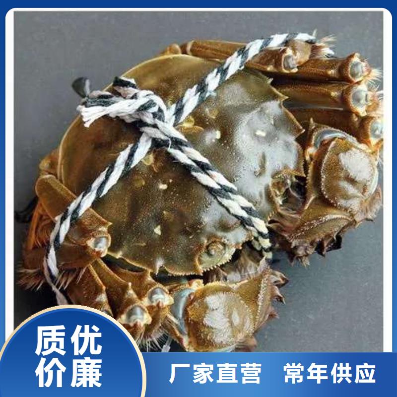 蟹,阳澄湖大闸蟹中秋送礼超产品在细节