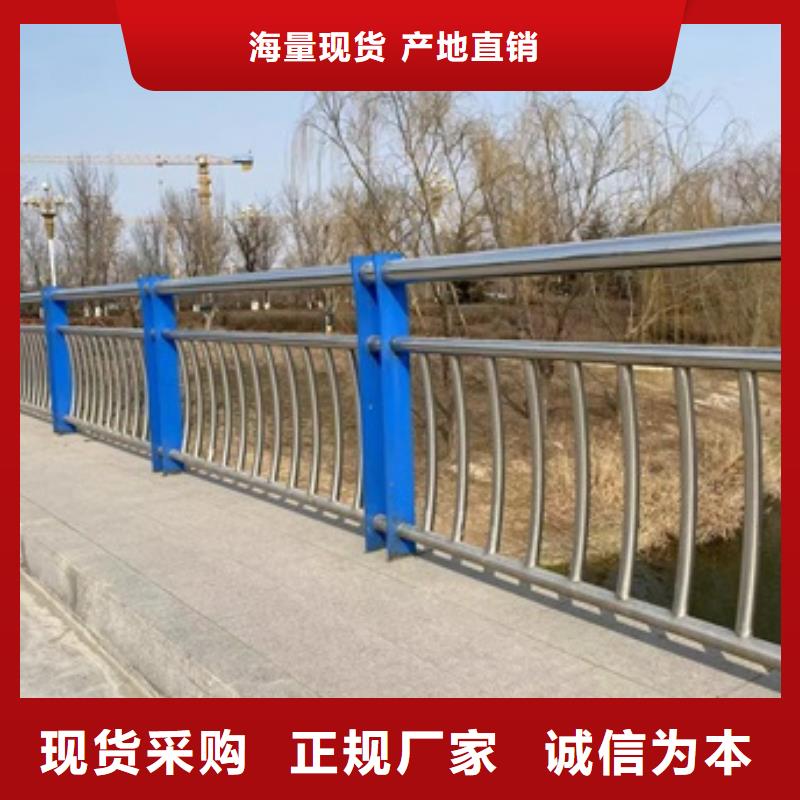 桥梁护栏-【人车分流栏】经销商