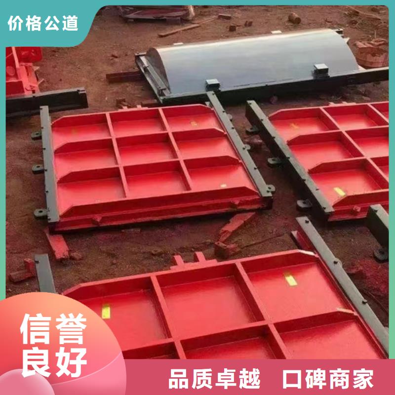 铸铁镶铜闸门-p型止水带闸门水封一站式
