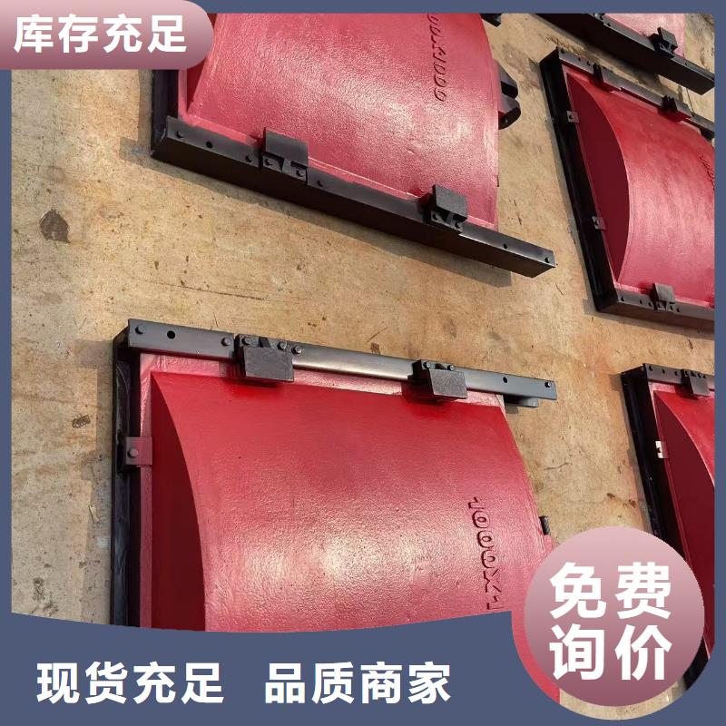 铸铁镶铜闸门-PZ双向止水铸铁镶铜闸门性价比高