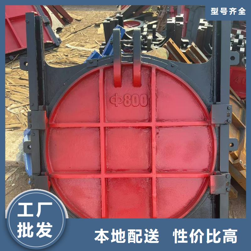 启闭机闸门-3米*3米铸铁闸门定制化
