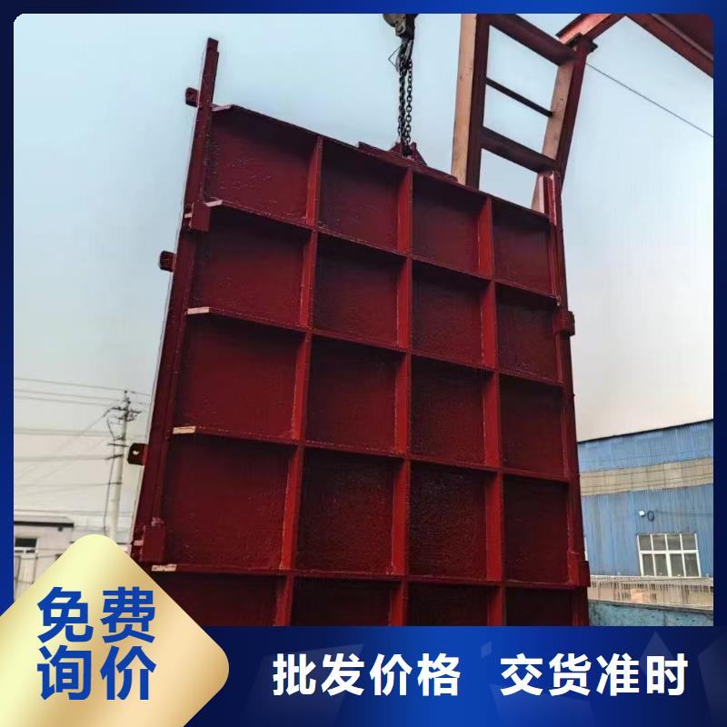 直联式螺杆启闭机止水闸门
