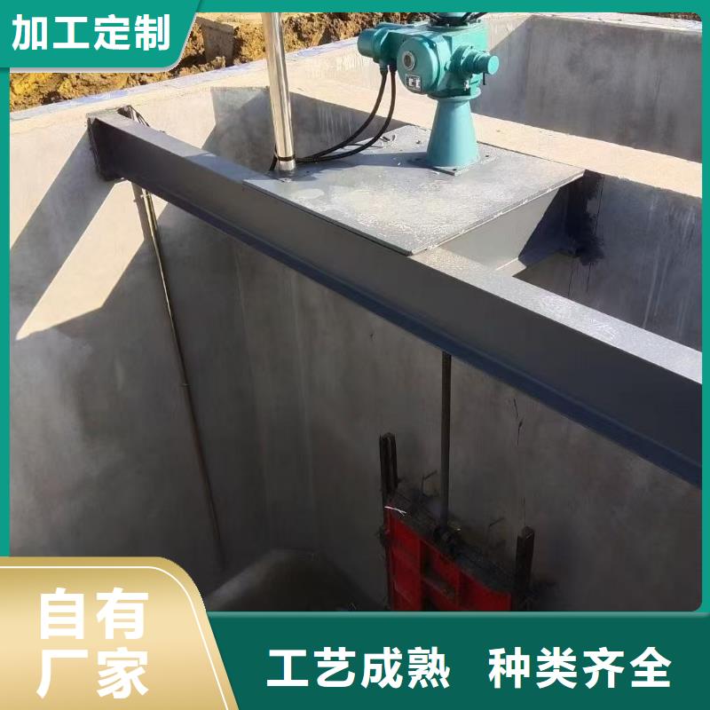 启闭机电装启闭机让您无后顾之忧
