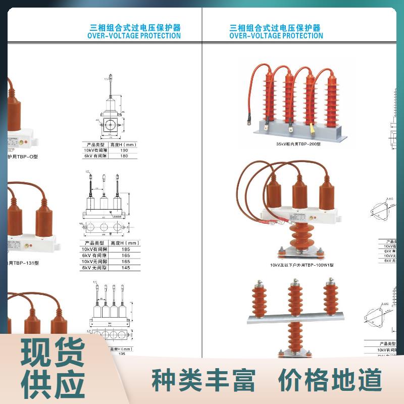 高压隔离开关支柱绝缘子支持定制