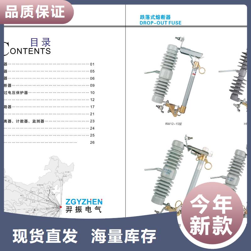 高压隔离开关-【【避雷器】】精工制作