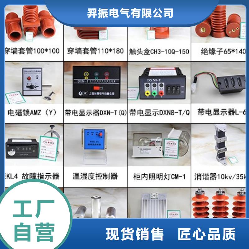高压隔离开关,跌落式熔断器多年行业经验