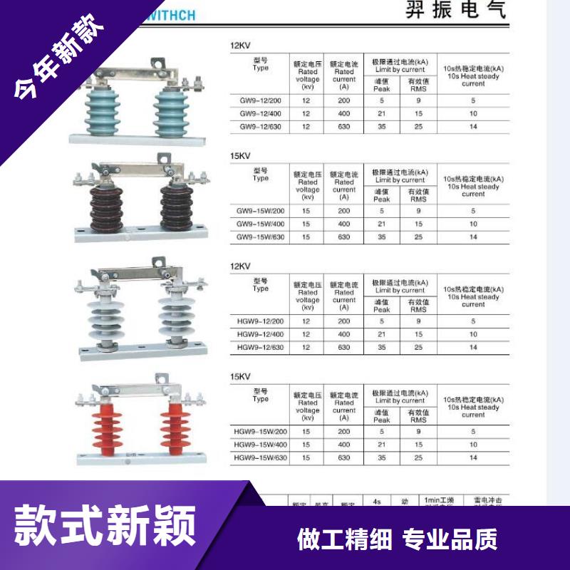 高压隔离开关双电源真空断路器拥有核心技术优势