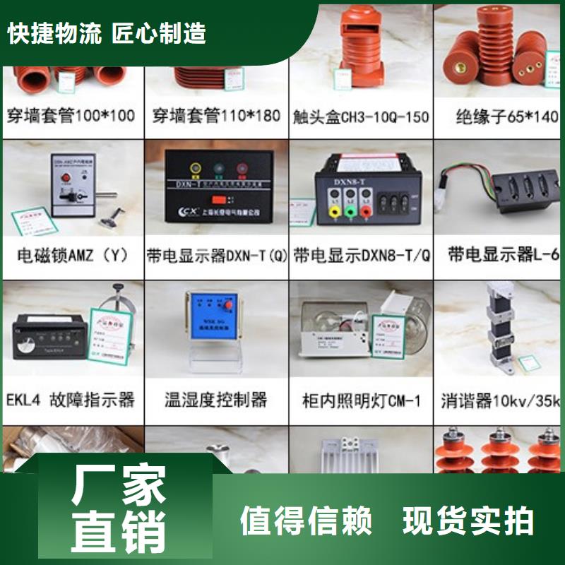 高压隔离开关支柱绝缘子支持定制