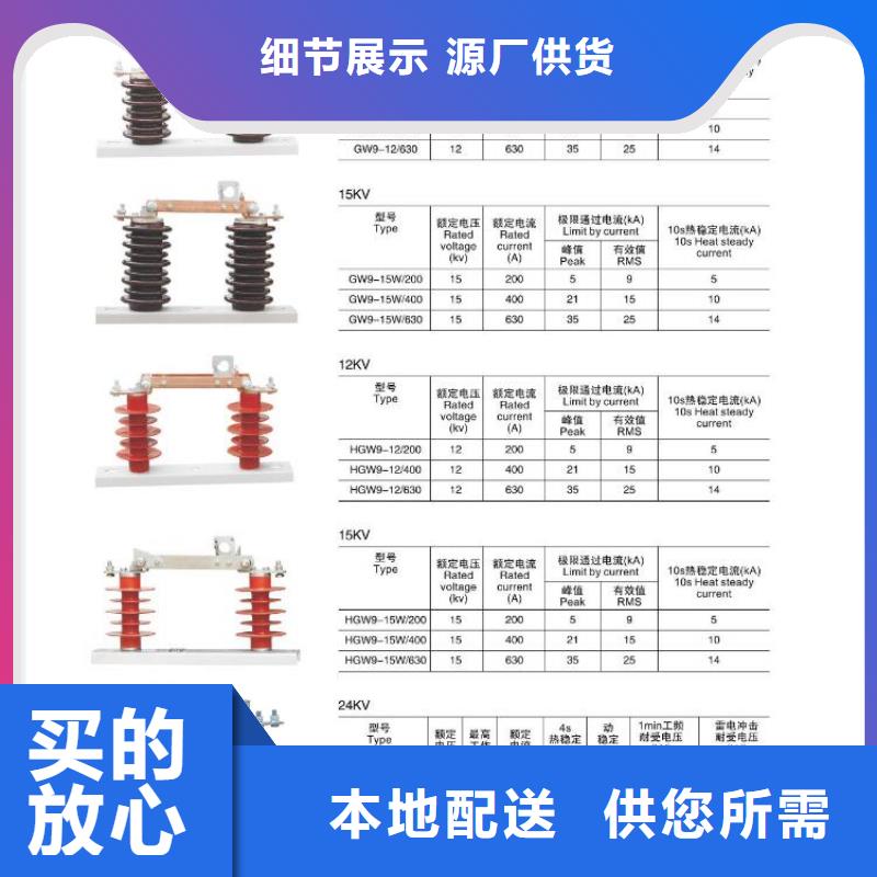 高压隔离开关CW2智能型式断路器一手货源源头厂家