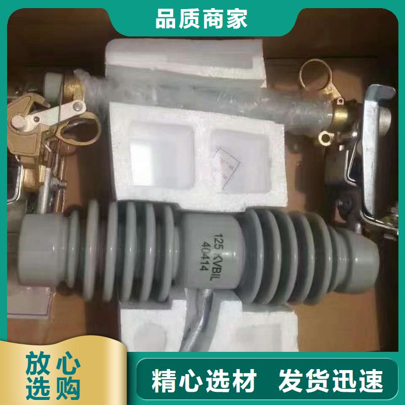 熔断器M8杆带螺杆绝缘子实力优品