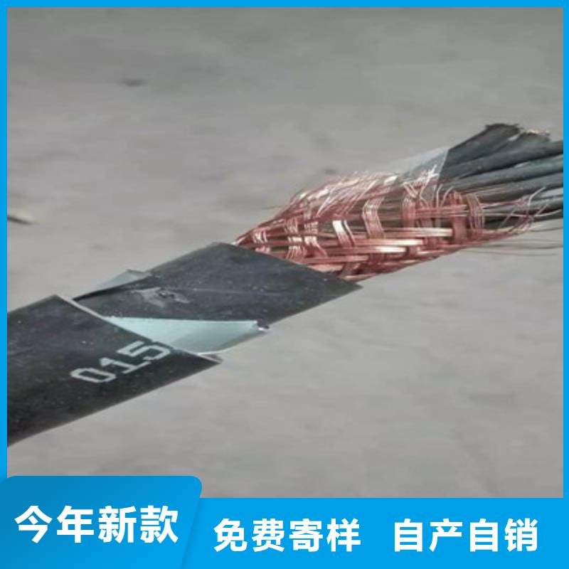特种电缆电缆生产厂家现货充足量大优惠