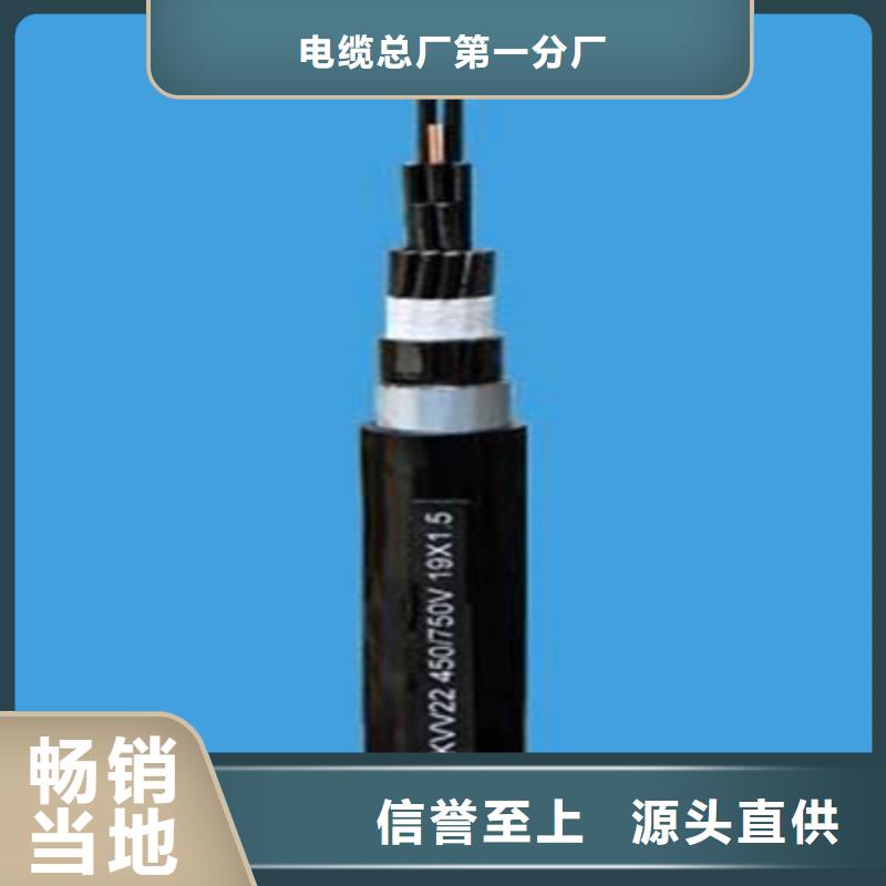 【特种电缆信号电缆工艺层层把关】