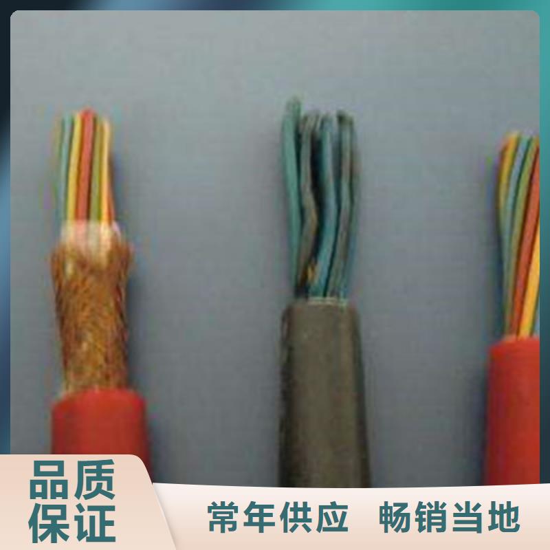 特种电缆控制电缆实力见证