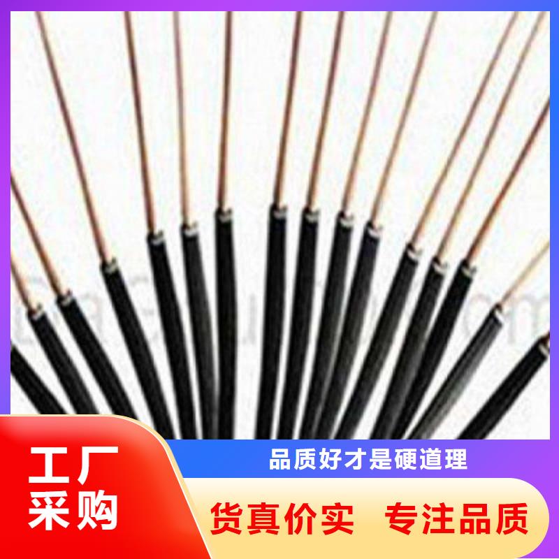 【特种电缆屏蔽电缆多年行业经验】