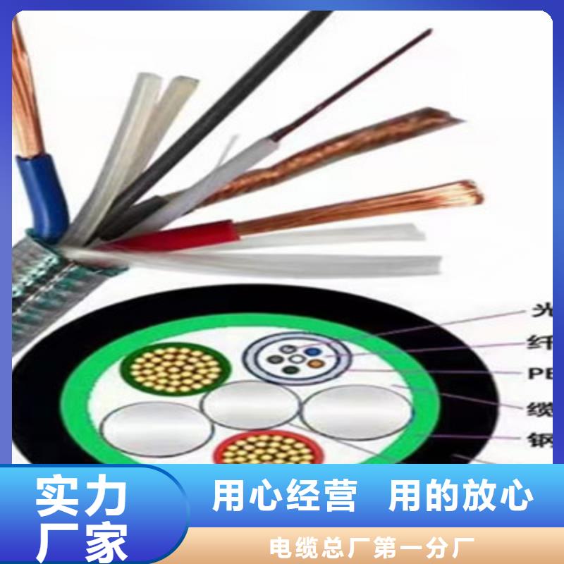特种电缆控制电缆实力见证