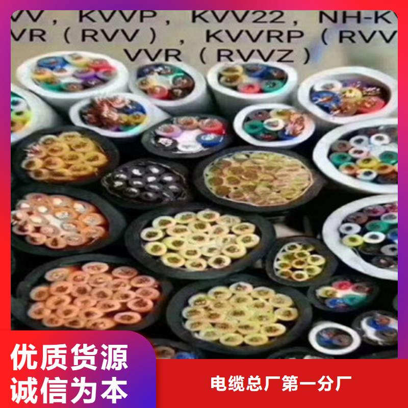 特种电缆【通信电缆】工艺精细质保长久