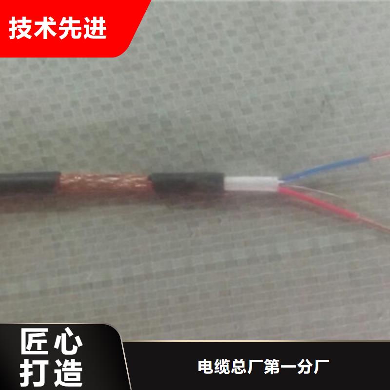 【特种电缆】屏蔽电缆设备齐全支持定制