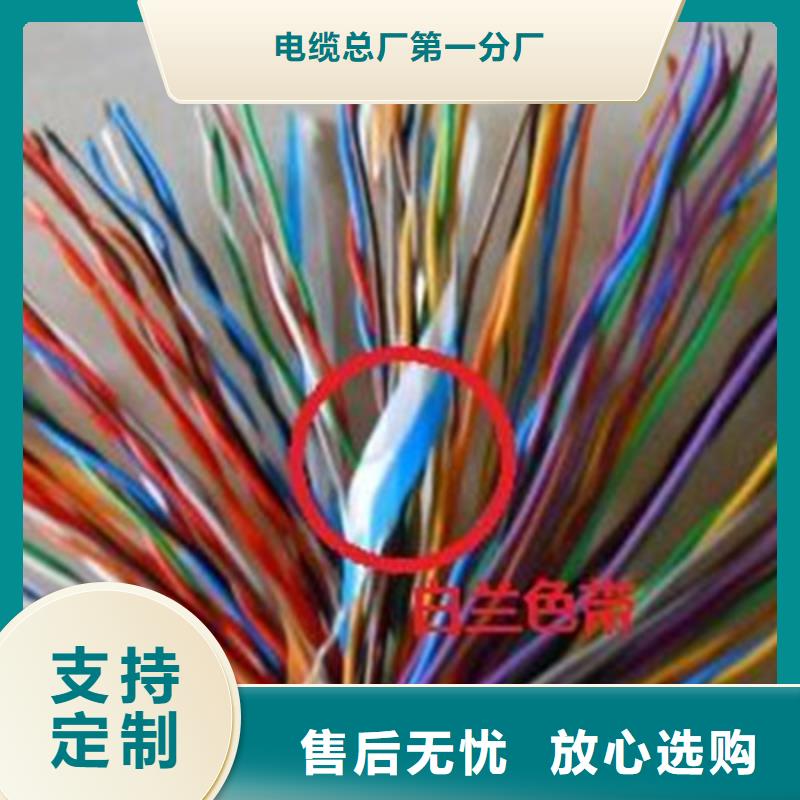 通信电缆控制电缆满足客户需求