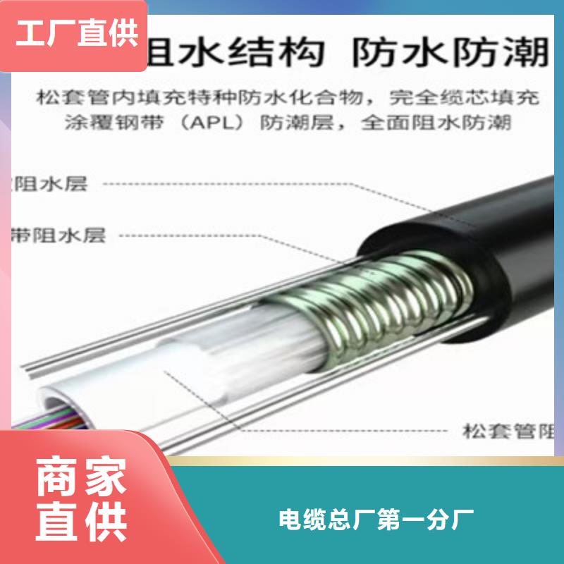 【通信电缆】信号电缆厂家直销规格多样