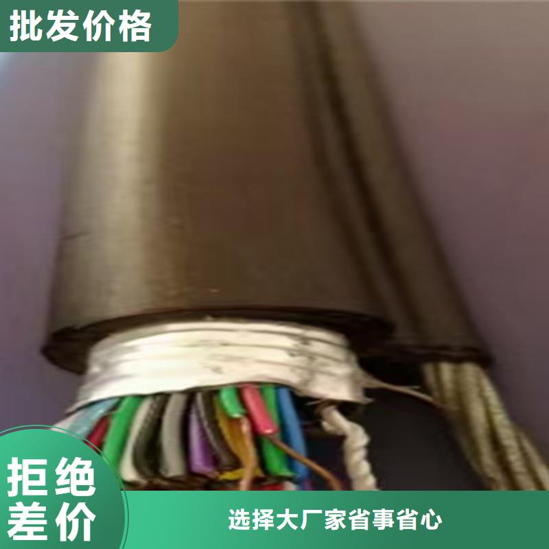 【通信电缆】信号电缆厂家直销规格多样