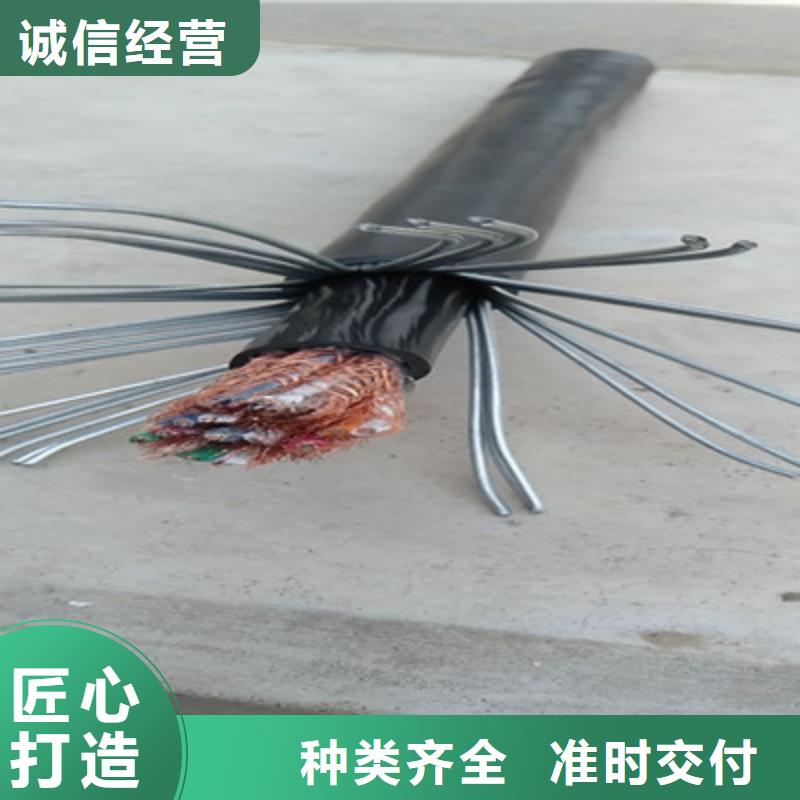 计算机电缆-控制电缆敢与同行比价格