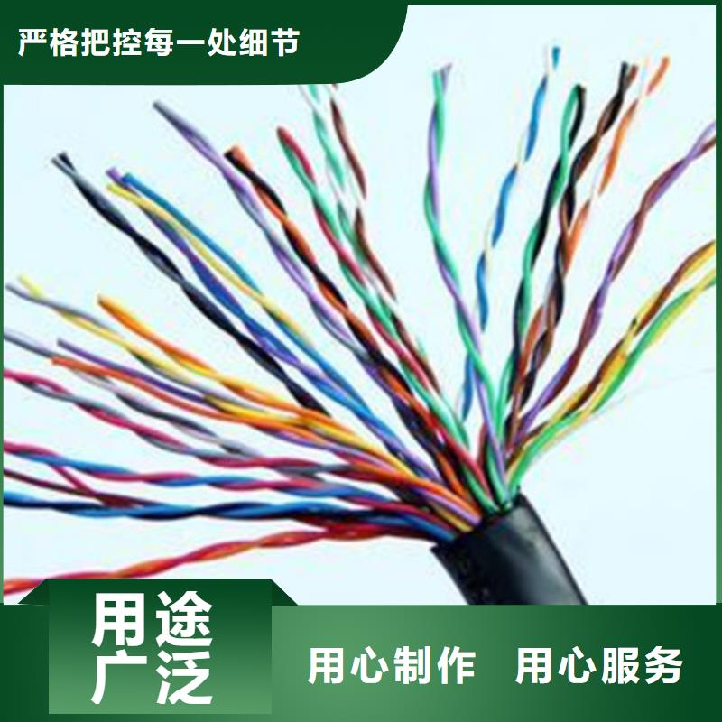 计算机电缆【屏蔽电缆】信誉有保证