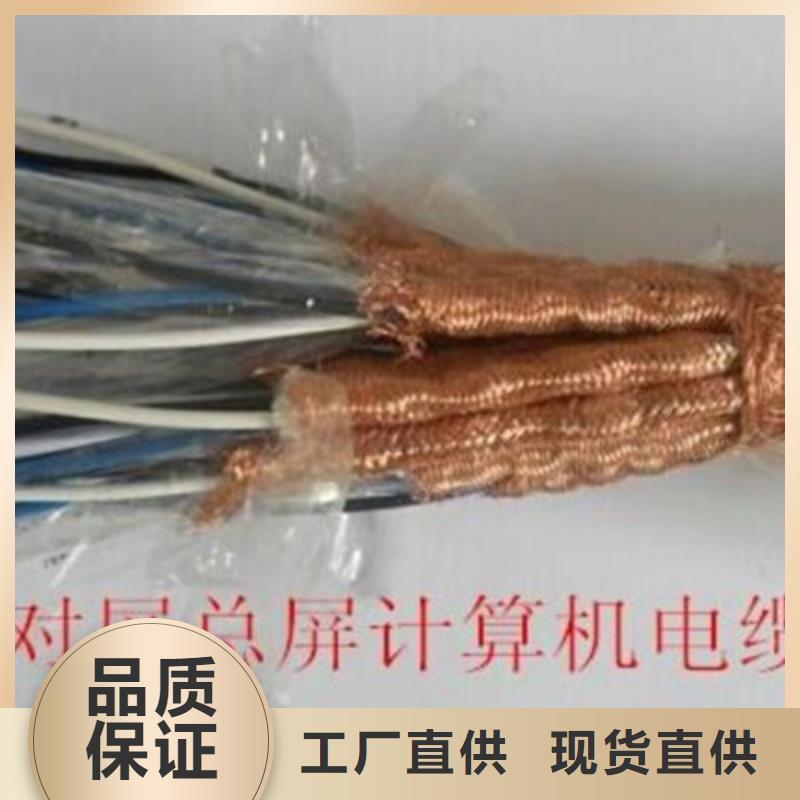 计算机电缆【电缆生产厂家】工厂直营