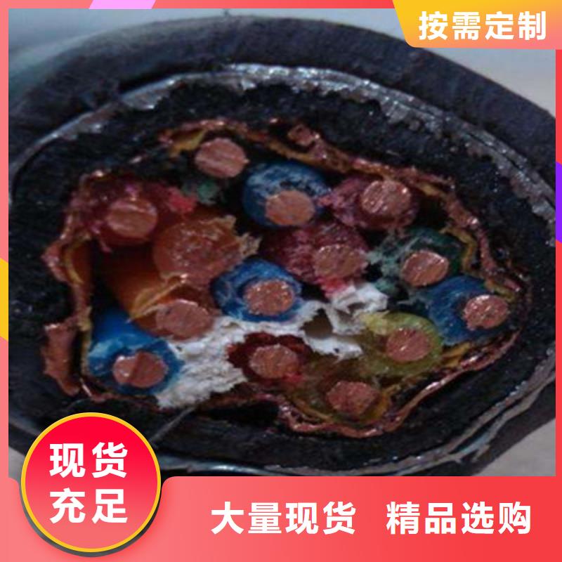 计算机电缆-铁路信号电缆多种规格供您选择