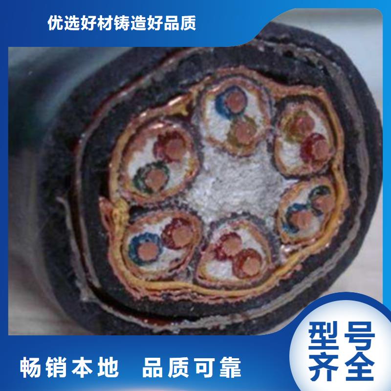 【计算机电缆】-屏蔽电缆产地货源