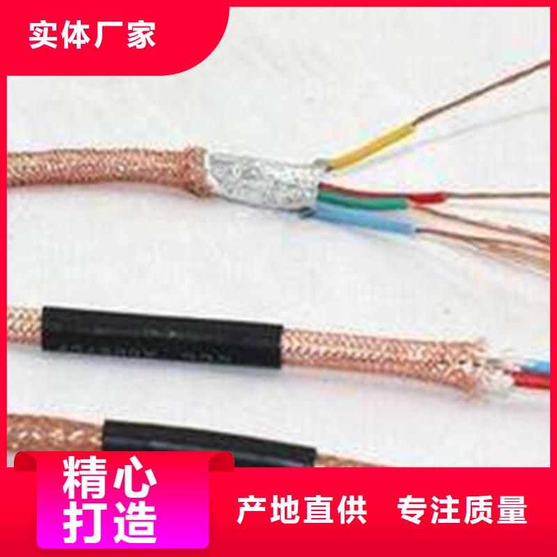 【计算机电缆屏蔽电缆欢迎新老客户垂询】
